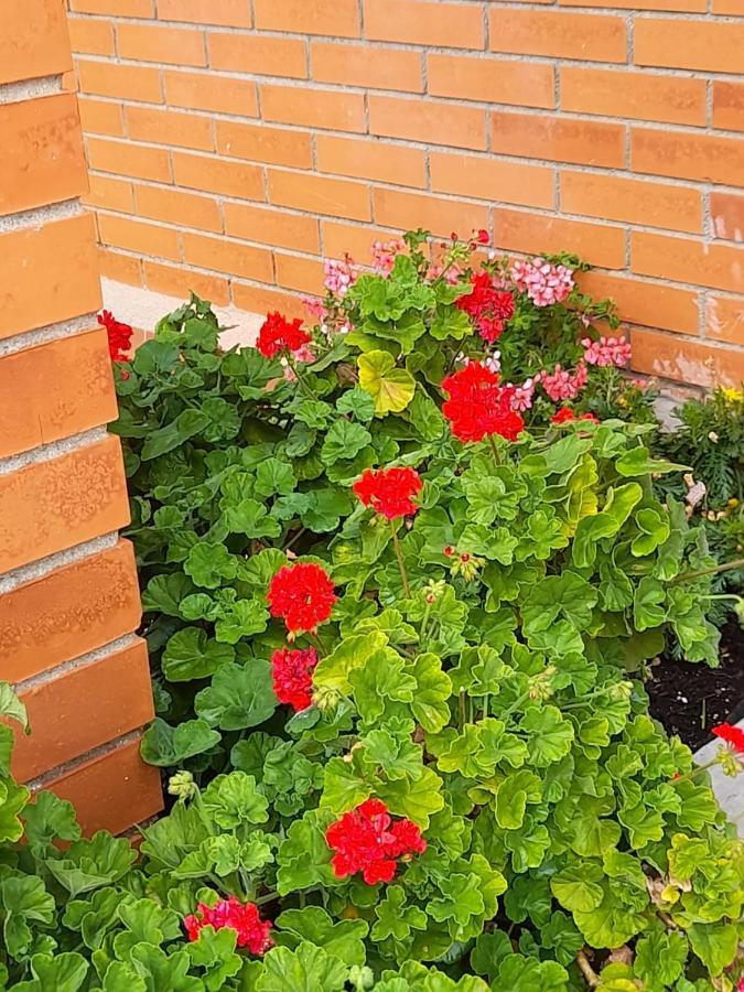 Atico Isaac Albeniz Apartman La Pineda Kültér fotó